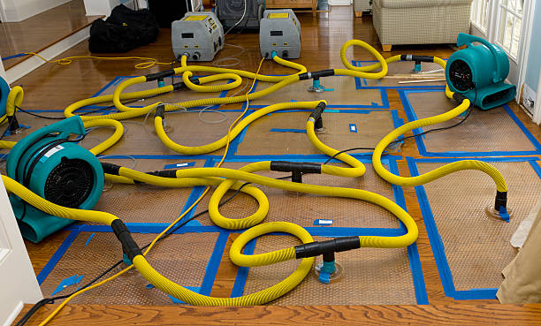 Professional Storm Water Damage Restoration technician working in West Long Branch, NJ
